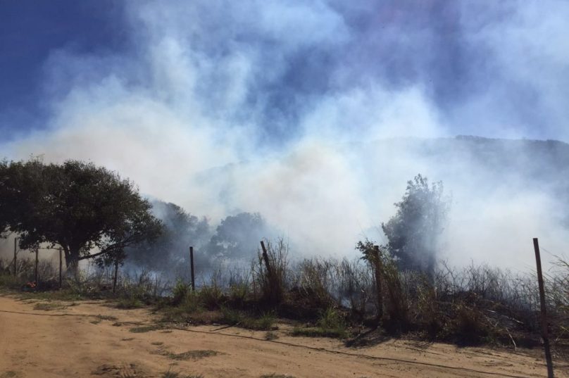 Incêndio Mangue de Pedras