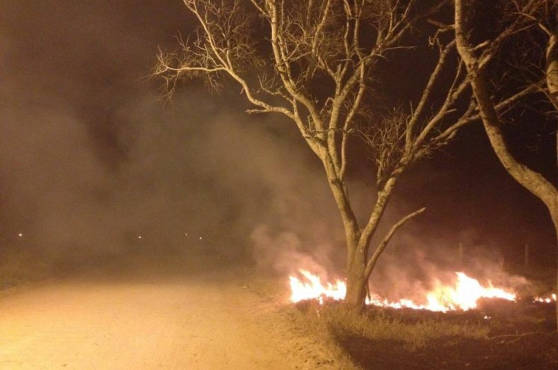 Maquina trabalhando na area alagada  onde vem acontecendo uma série de incêndios  desde setembro