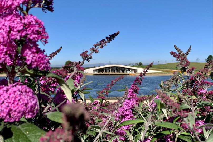 Paisagismo encanta o público com 30 jardins diferentes.  Foto Jô Moreira