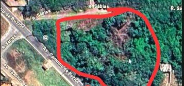 No loteamento Vila do Peró, a equipe flagrou o desmatamento ilegal de vegetação em área urbana. (Foto: Divulgação)