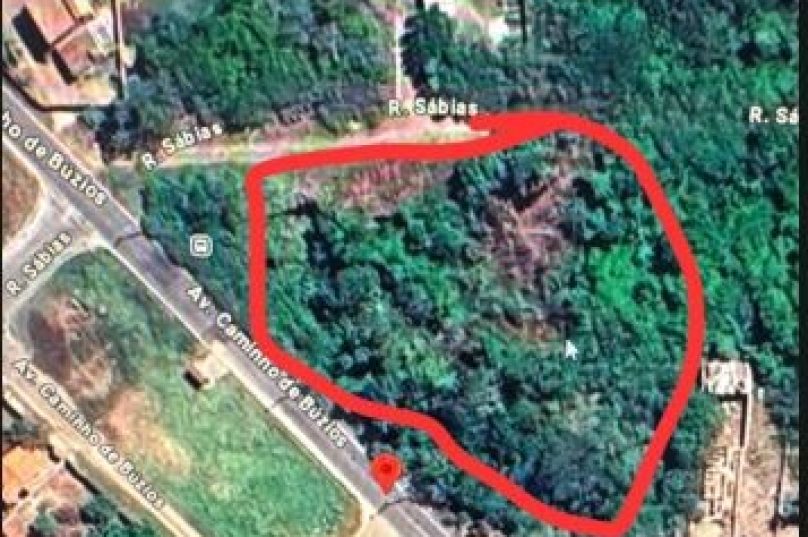 No loteamento Vila do Peró, a equipe flagrou o desmatamento ilegal de vegetação em área urbana. No loteamento Vila do Peró, a equipe flagrou o desmatamento ilegal de vegetação em área urbana. (Foto: Divulgação)