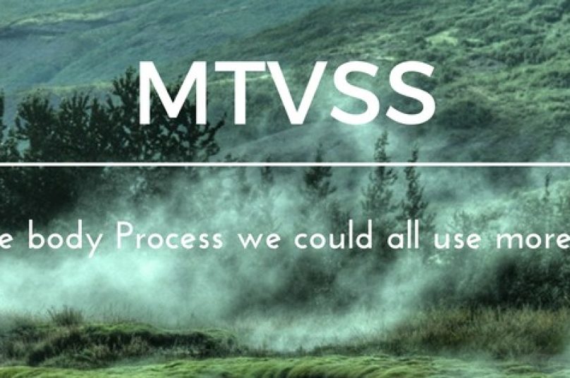 MTVSS-2