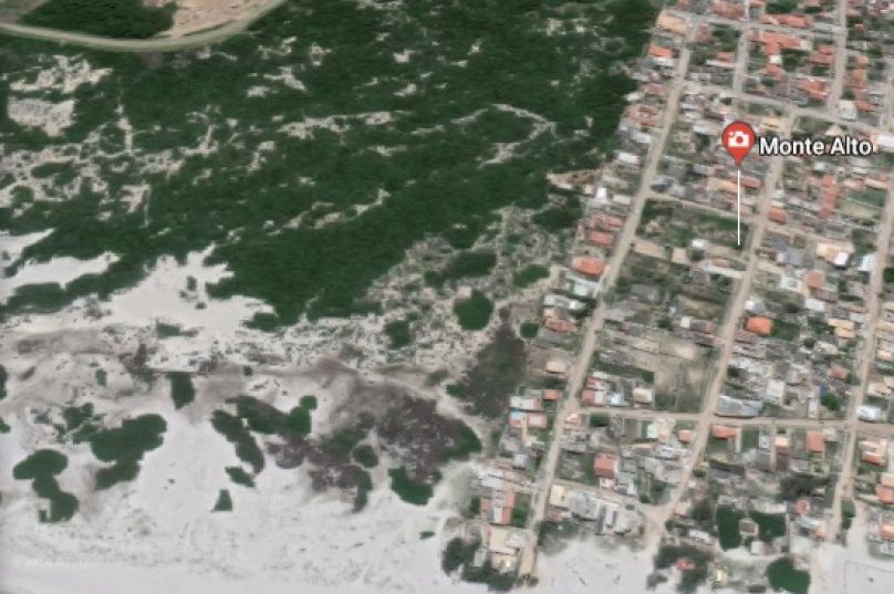 Monte alto