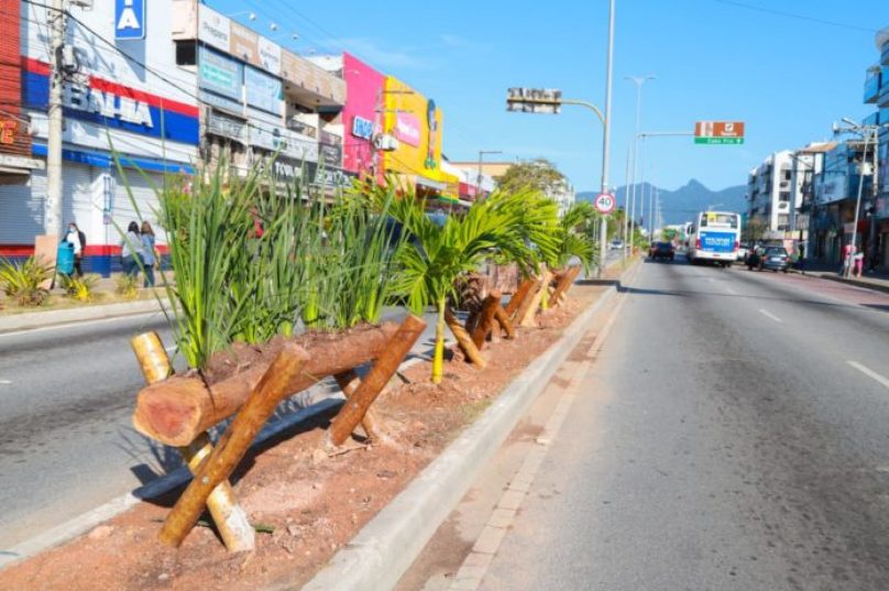 No-Centro-equipes-da-Secretaria-de-Meio-Ambiente-ornamentaram-canteiros-no-trecho-da-Avenida-Amazonas-até-o-Shopping-Holiday-foto-Gabriel-Sales-696x464