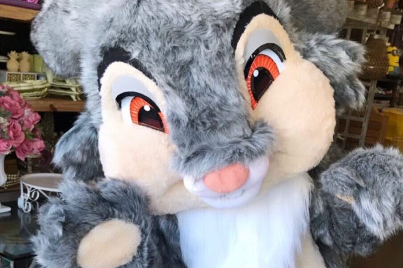 O evento é gratuito e acontece das 15h às 20h, na Praça Sambaqui. Foto divulgação