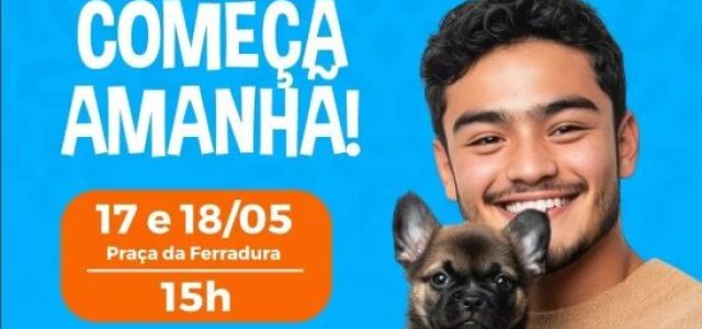 O evento será realizado em um espaço especialmente estruturado para acolher tutores e seus animais de estimação com conforto, segurança e diversão. (Foto: Divulgação)