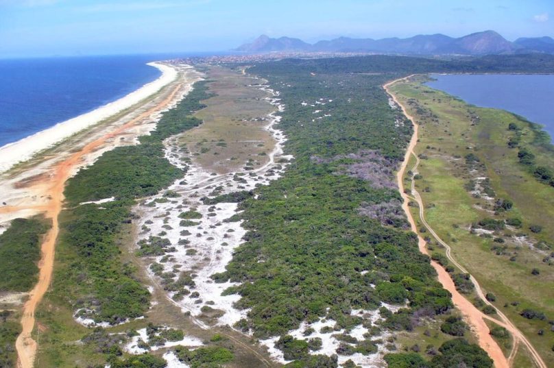 Área é considerada de grande valor científico e ambiental por estudiosos e ambientalistas, pela presença de inúmeras espécies endêmicas da fauna e da flora - Crédito da foto: Desiree Freire