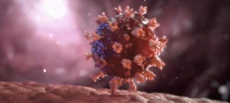 Variantes do coronavírus — Foto: Reprodução/GloboNews