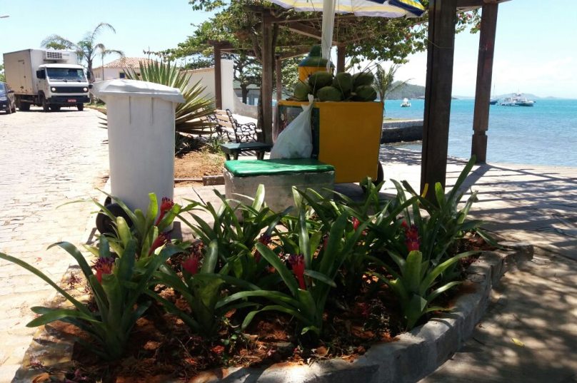 Edario vende água de coco das 8h às 17h no local