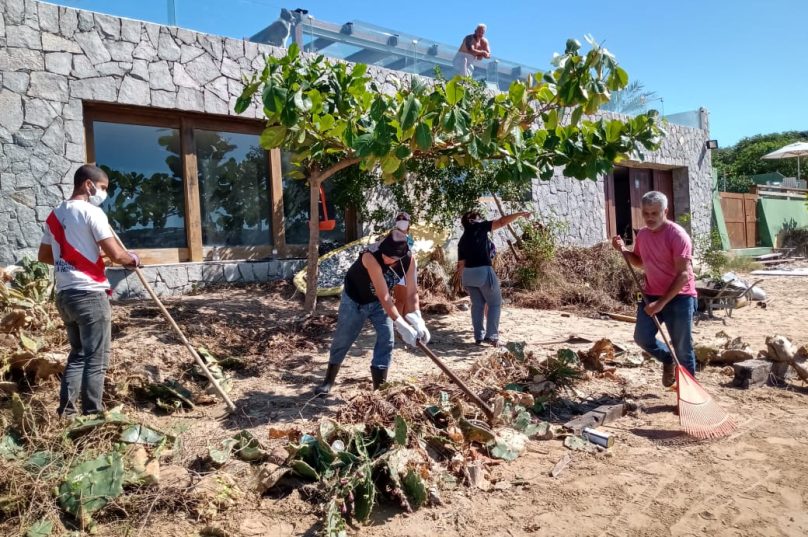 Ferradura retirada de exóticas