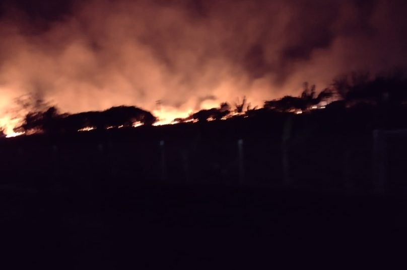 Corpo de Bombeiros não souberam precisar o tamanho da área. Foto: Reprodução/Internet