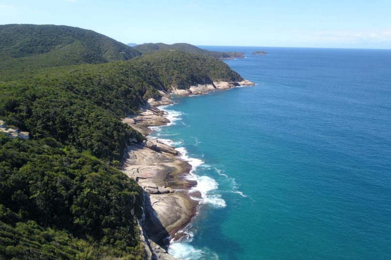 A APA Pau Brasil é uma das últimas unidades de Mata Atlântica original da costa brasileira, nem reflorestada e nem desmatada e fica dentro do PECS. Foto Gonzalo Arselli