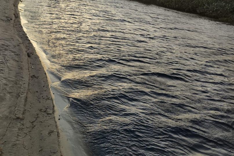 Imagens mostram o aumento de espuma na Praia da Rasa e mudança da coloração da água. Fotos Carolina Mazieri