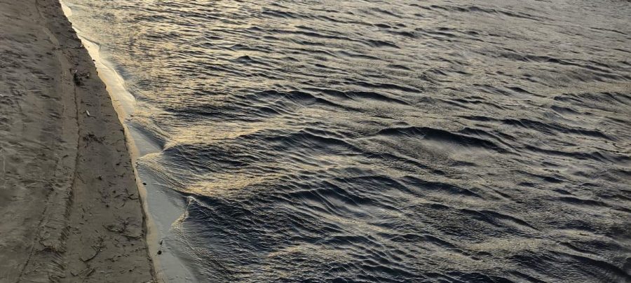 Imagens mostram o aumento de espuma na Praia da Rasa e mudança da coloração da água. Fotos Carolina Mazieri