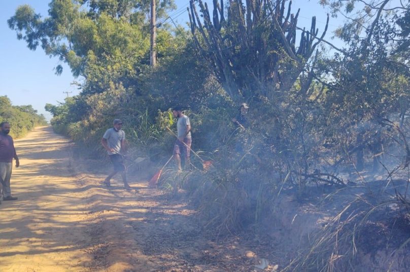 Apenas 200 m² de área foi danificada graças a ação rápida da equipe.  Foto Daniel Lopez