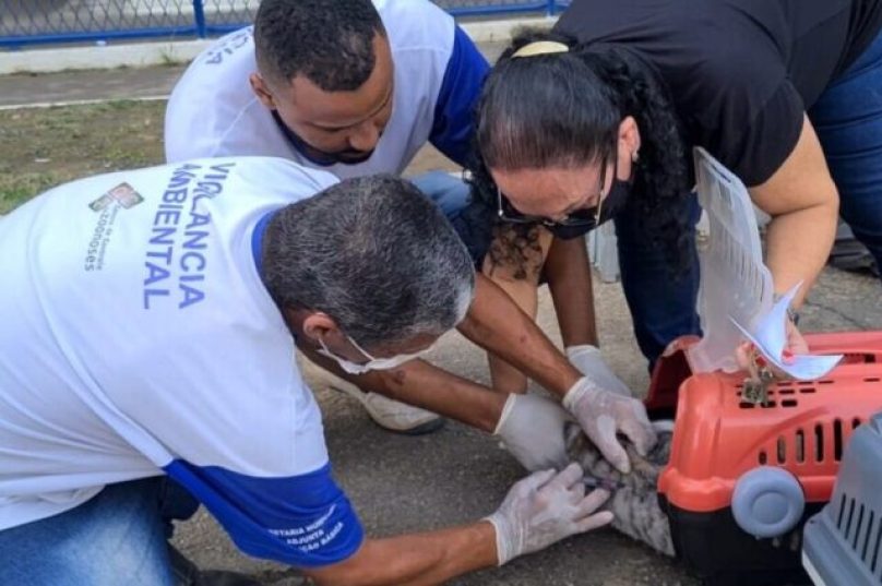 Fotos: Ana Chaffin / Prefeitura Municipal de Macaé