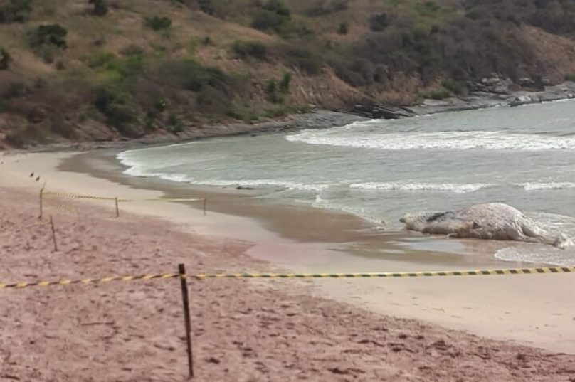Imagem: Divulgação/ Prefeitura de Búzios