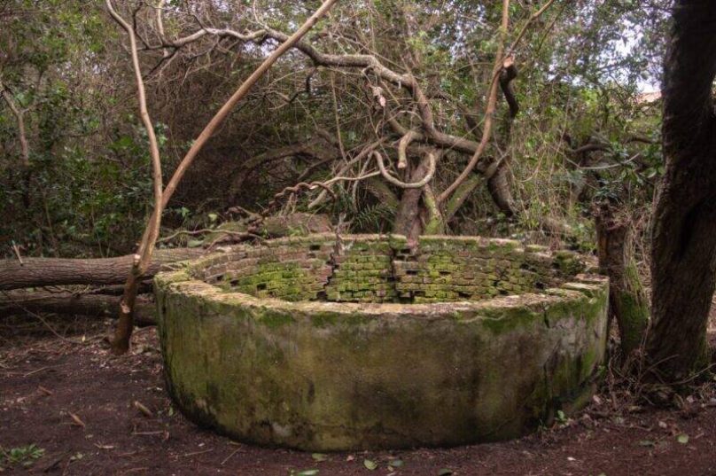 Proposta apresentada na Câmara utiliza o Poço do Jorge como referência para ampliar a participação das comunidades caiçaras em ações de preservação ambiental, cultural e patrimonial em Búzios / Crédito Divulgação - Arquivo Prensa de Babel