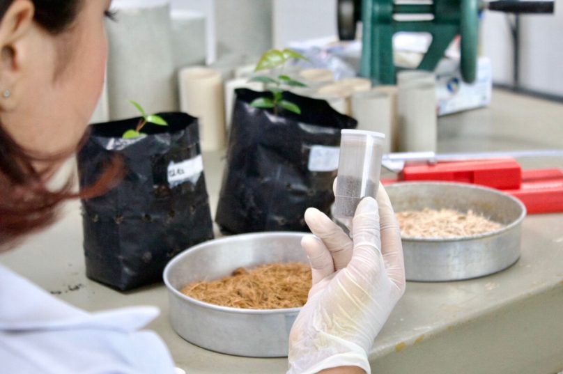 Pesquisa com lodo de esgoto e substratos para adubo de plantas nativas avança em Cabo Frio e reaproveitamento pode possibilitar uma operação mais sustentável, permitindo transformar um passivo ambiental de alto impacto em benefícios para a natureza e sociedade. / Foto: Mariane Siqueira