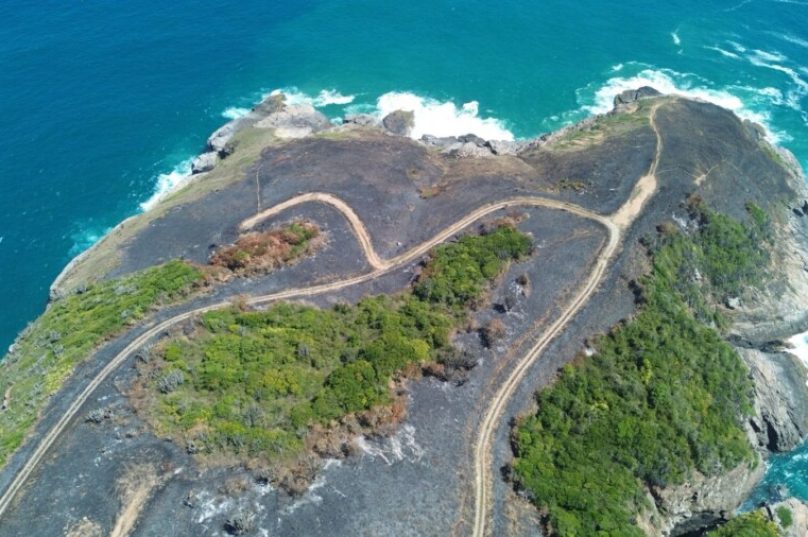 Área devastada após o incêndio na Praia da Ferradura em Búzios