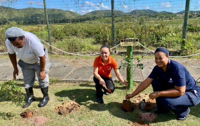 Participantes plantam uma das 55 árvores nativas no Búzios Beach Resort