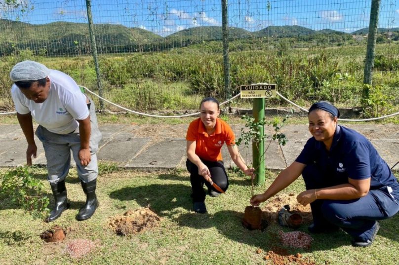 Participantes plantam uma das 55 árvores nativas no Búzios Beach Resort