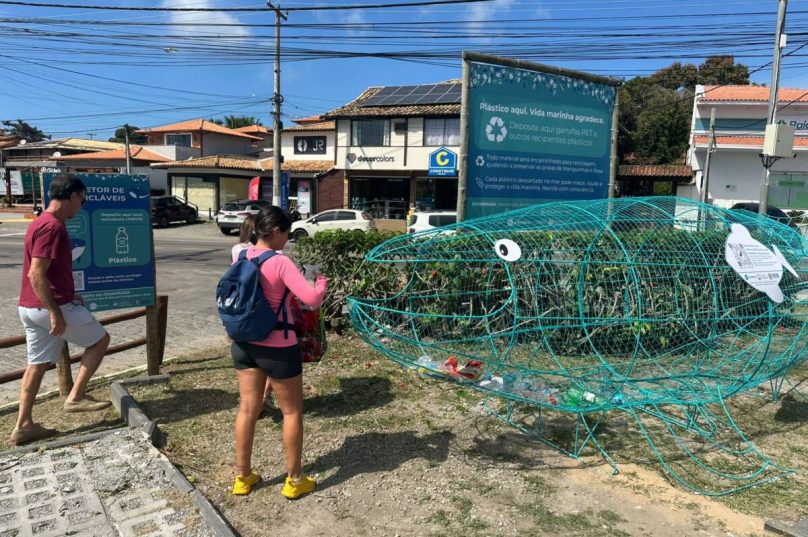 Baleia coletora Amanrasa