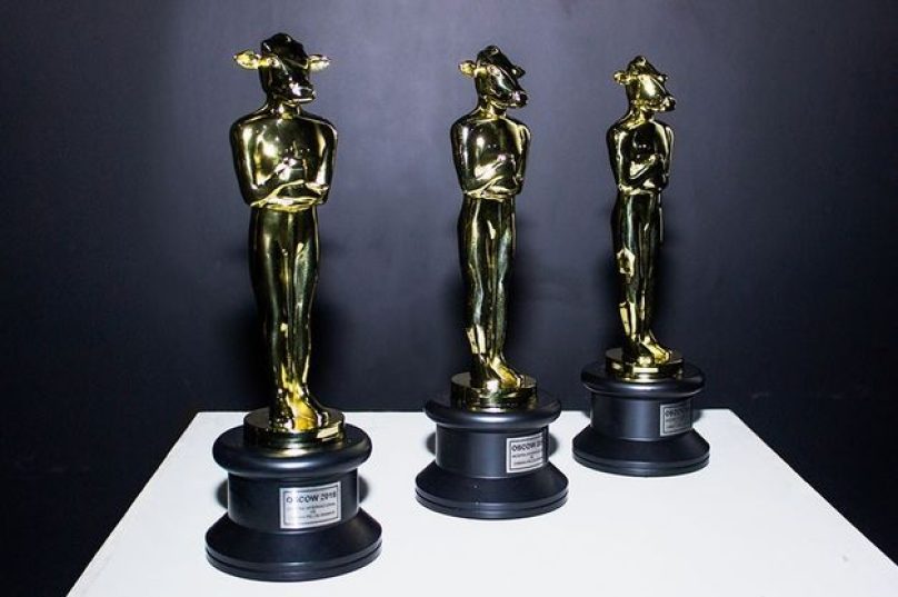 A Mostra é um dos mais relevantes eventos de cinema do mundo, voltado totalmente para a discussão dos direitos dos animais e os impactos socioambientais que a interação dos humanos com os outros animais pode trazer.  Foto JB