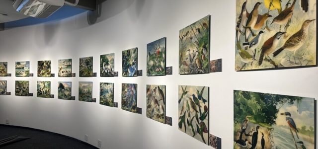 Exposição 'O Legado Suíço Brasileiro na Amazônia' estará no Museu Catavento em SP