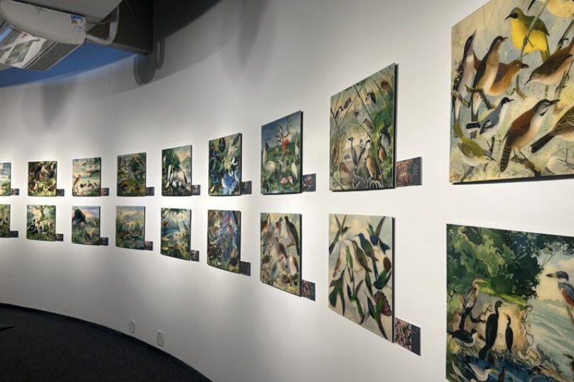 Exposição 'O Legado Suíço Brasileiro na Amazônia' estará no Museu Catavento em SP