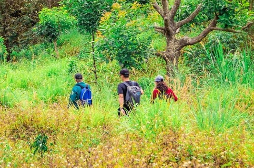 Turismo regenerativo coloca a natureza no centro desta atividade