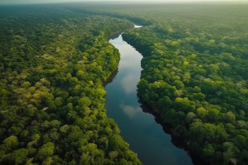 Livro 'Amazônia' analisa a gestão daquela localidade