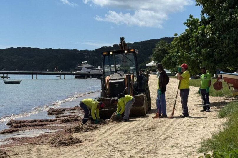 Prefeitura de Búzios realiza mutirão para retirada de algas na Praia de Manguinhos e melhora condições da faixa de areia / foto divulgação