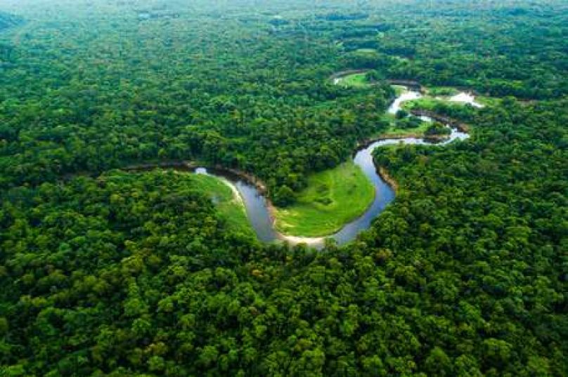 amazônia