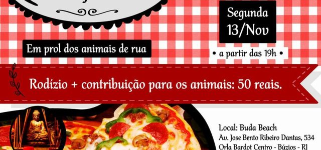 animais coletivo búzios