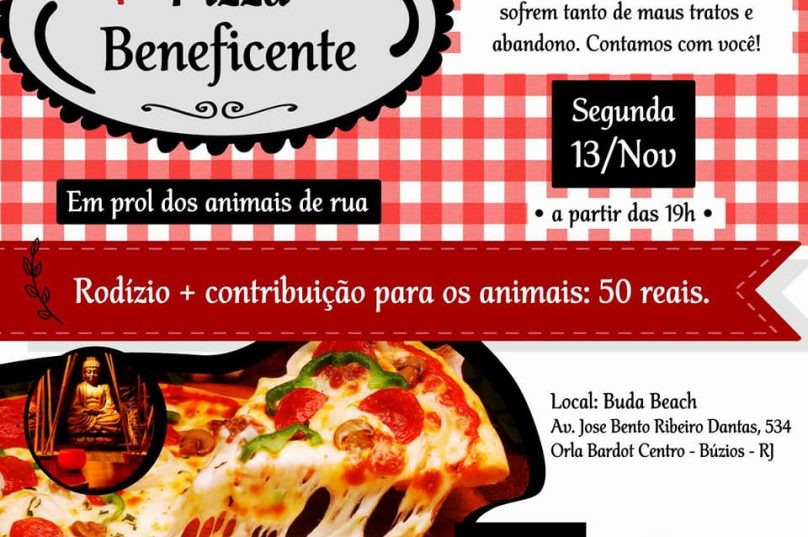 animais coletivo búzios