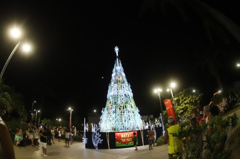 arvore-de-natal-sesc-foto-cintia-rocha (1)