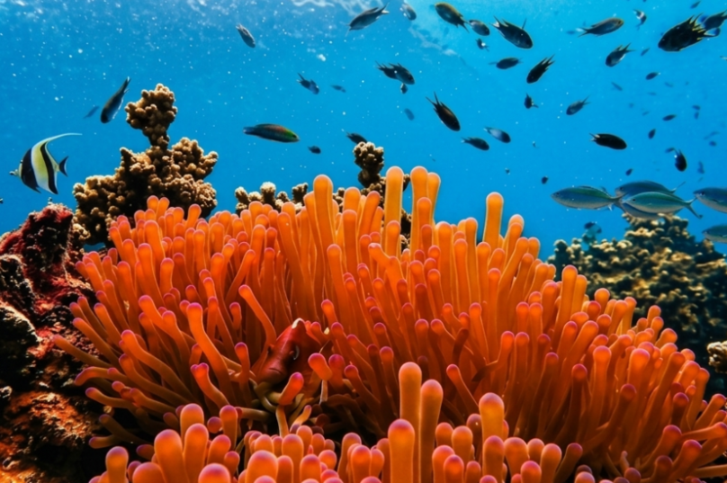 EcoRodovias testa energia do mar em rodovias