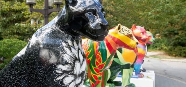 Jaguar Parade RIO inicia pinturas ao vivo no Rio de Janeiro