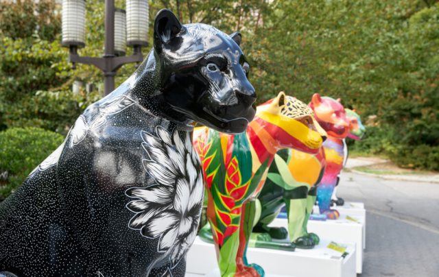 Jaguar Parade RIO inicia pinturas ao vivo no Rio de Janeiro