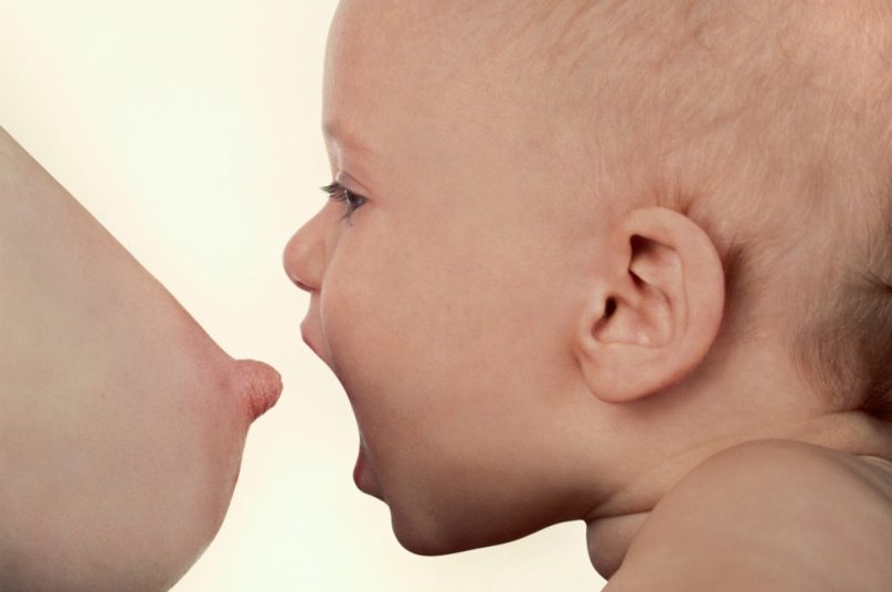 bebe mamando