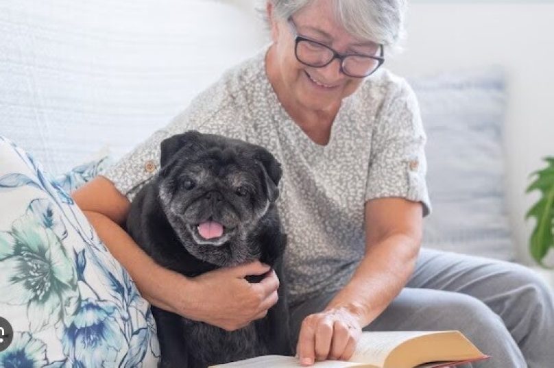 búzios imunização animais