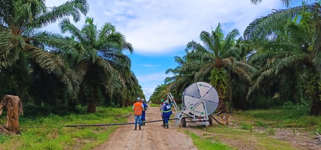 Grupo BBF desenvolve projeto de adubação sustentável no Pará