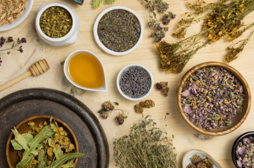 Widom lança curso online de fitoterapia e plantas medicinais