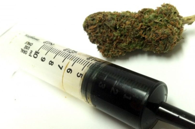 canabidiol-maconha