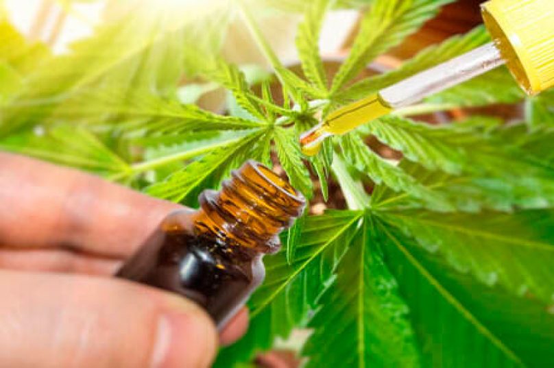 Município já conta com dois médicos especialistas que atuam na prescrição e acompanhamento dos pacientes. Foto: Reprodução.
