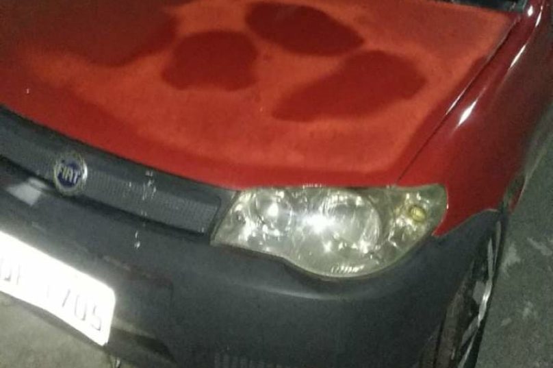 carro-fiat