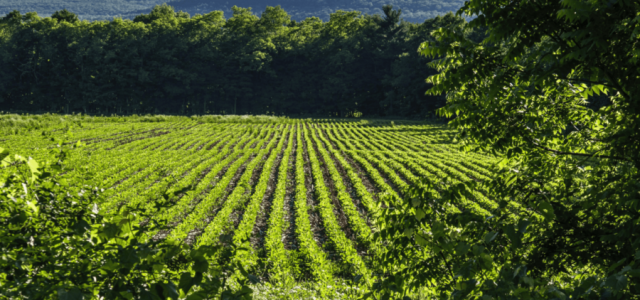 Agronegócio é parte da solução para mudanças climáticas