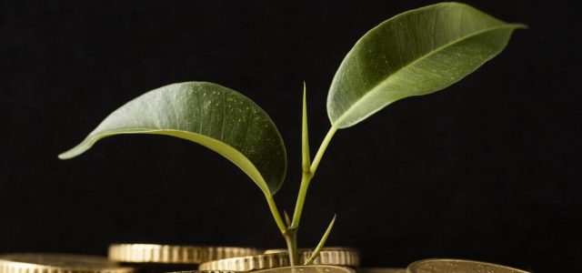 Créditos de carbono poderão quitar impostos no agronegócio