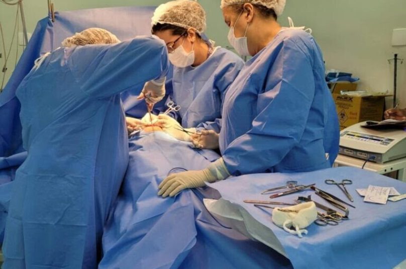 cirurgia búzios